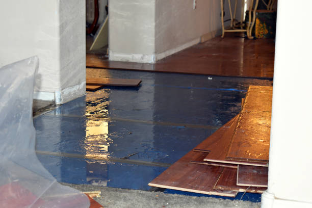 Professional Basement Flood Cleanup technician working in Prosper, TX